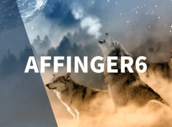 【ブログ収益化】AFFINGER6の初期設定＆最初にすべきこと