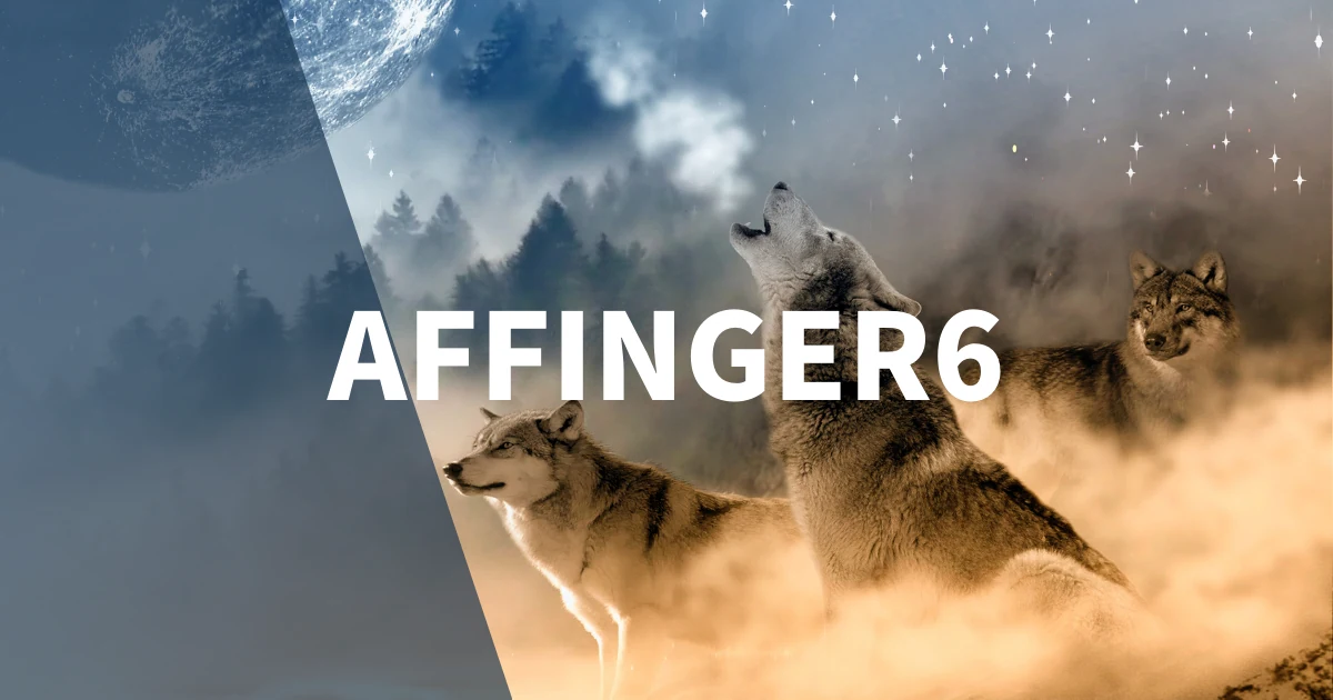 【ブログ収益化】AFFINGER6の初期設定＆最初にすべきこと