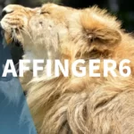 AFFINGER6を実際に使用したレビュー・口コミ