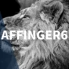 【簡単】AFFINGER6でランキングを作成する方法