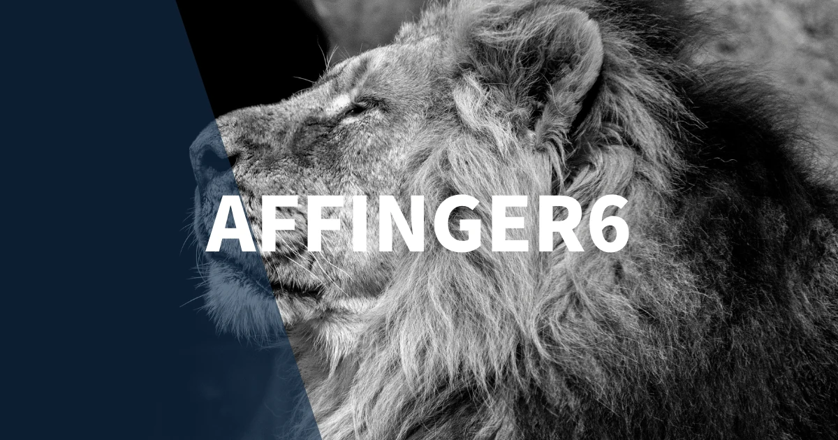 【簡単】AFFINGER6でランキングを作成する方法