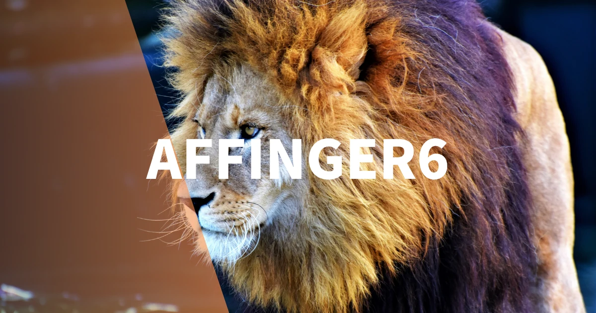 【簡単】AFFINGER6でスライドショーを設定する方法