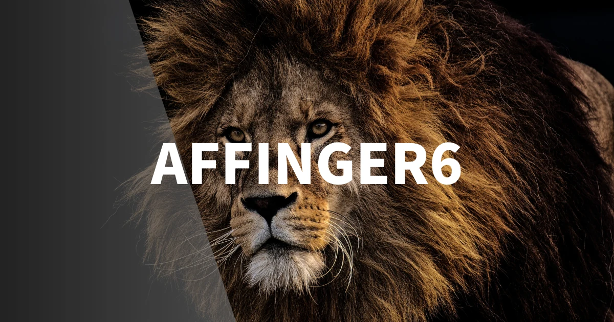 AFFINGER6でファビコンを設定する方法【1分で完了！】