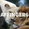 AFFINGER6のメリット・デメリットを解説【実際に使ってみて分かったこと】