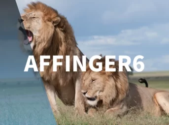 AFFINGER6は複数サイトで使えます！【ただし注意点あり】