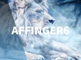 AFFINGER6がSEOに強い10個の理由【導入後のPV数を公開】
