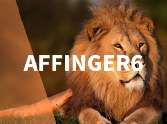 AFFINGER6でヘッダメニューを設定する方法【アイコン表示も解説】