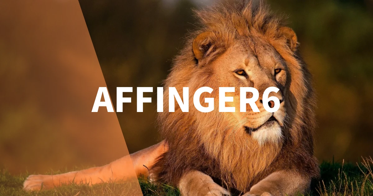 AFFINGER6でヘッダメニューを設定する方法【アイコン表示も解説】