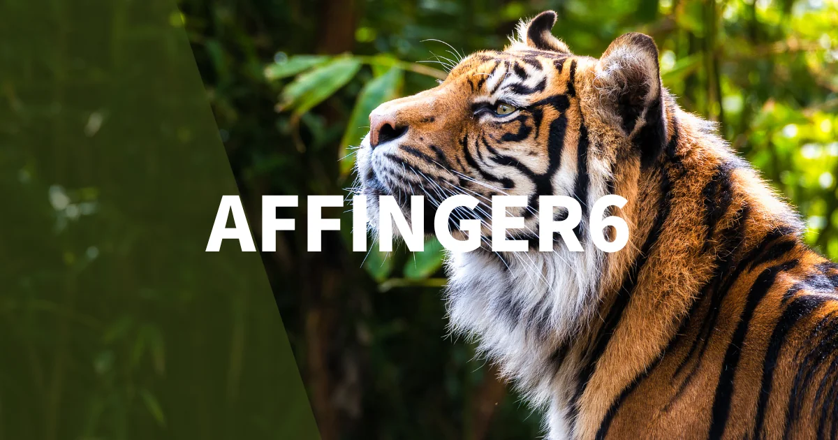 AFFINGER6でヘッダーカードの作成とカスタマイズ方法
