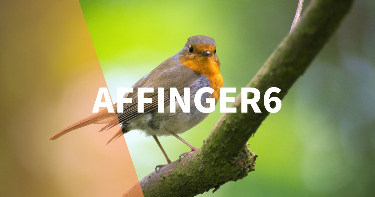 AFFINGER6に必要・不要なプラグイン【プラグインなしの設定方法も解説】