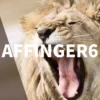 【3ステップで簡単！】AFFINGER6でサイトマップを作成する方法と必要性を解説