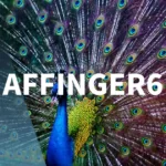 AFFINGER6は初心者に難しい？【4年間使った筆者が解説】