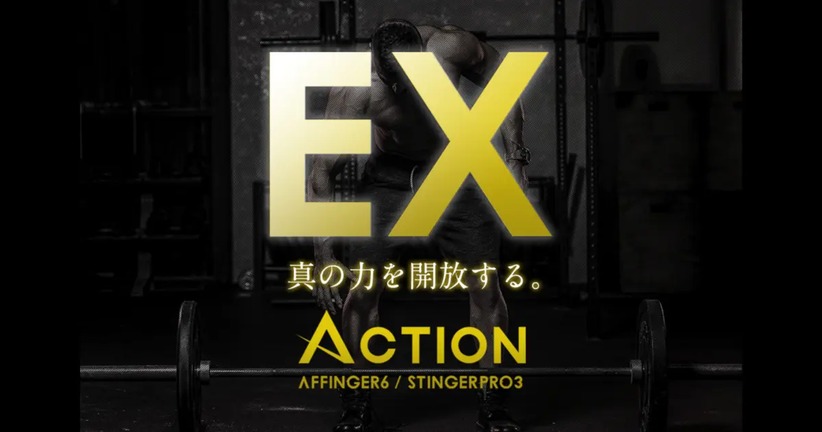 AFFINGER6 EX