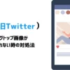 【AFFINGER6】X(Twitter)でブログカード画像が表示されない場合の解決法