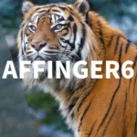 アフィンガー6（AFFIGER6）の会話吹き出し設定とカスタマイズ方法