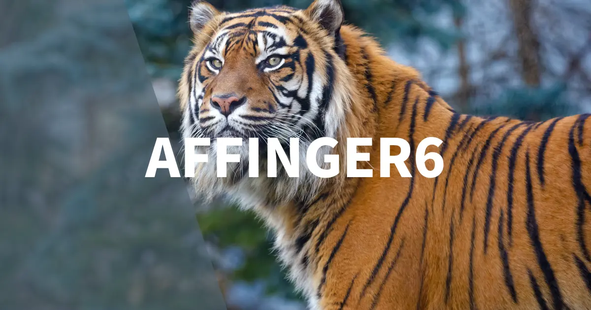 アフィンガー6（AFFIGER6）の会話吹き出し設定とカスタマイズ方法