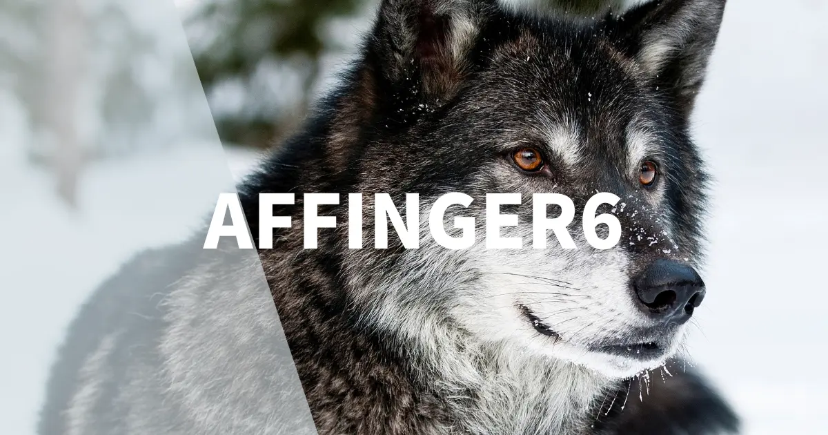 AFFINGER6のカスタマイズをまるっとご紹介【専門知識不要】